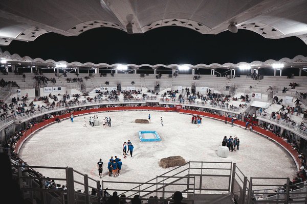 Mastering Carbohydrate Strategies: A Cyclist"s Guide to Peak Performance Nutrition