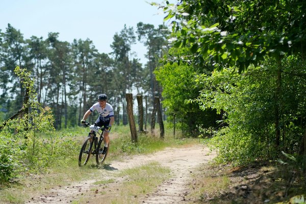 Unlocking Explosiveness: A Guide for UK MMA Fighters on Integrating Plyometric Workouts